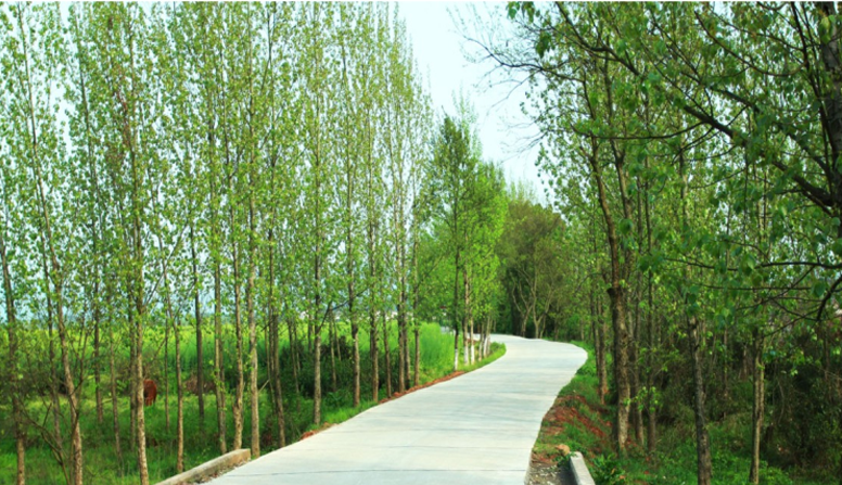 江西信豐縣工業(yè)園科之光路（緯二路）新建大道、產(chǎn)業(yè)大道北段一期工程設(shè)計(jì)、施工總承包（EPC）